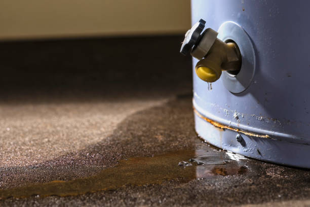 Best Sewage cleanup and water damage restoration  in Monrovia, CA