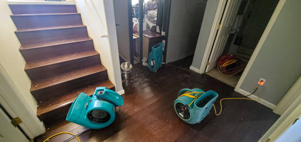Best Water damage restoration near me  in Monrovia, CA