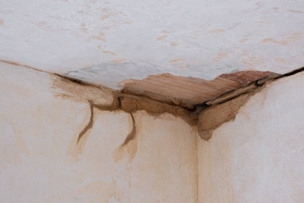 Best Emergency water damage restoration  in Monrovia, CA