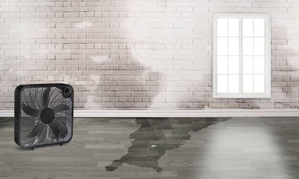Best Flood restoration services  in Monrovia, CA