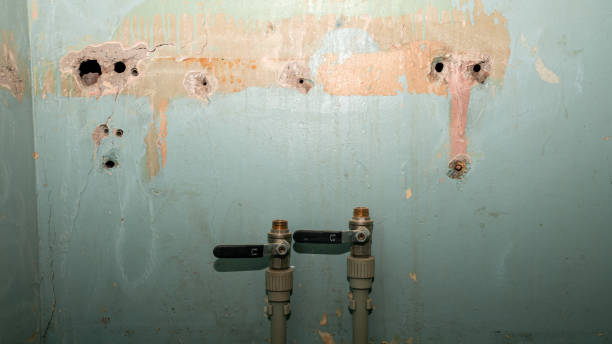 Reliable Monrovia, CA Water damage restoration Solutions