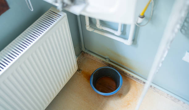  Monrovia, CA Water damage restoration Pros