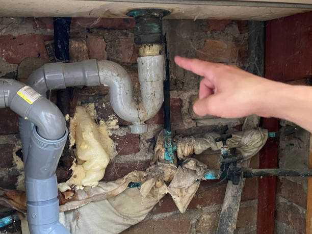 Trusted Monrovia, CA Water damage restoration Experts